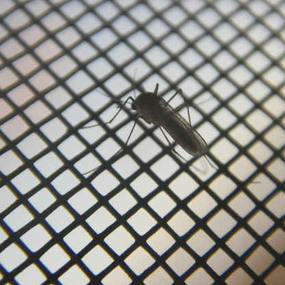 Magnetisches Fliegengitter Insektenschutz