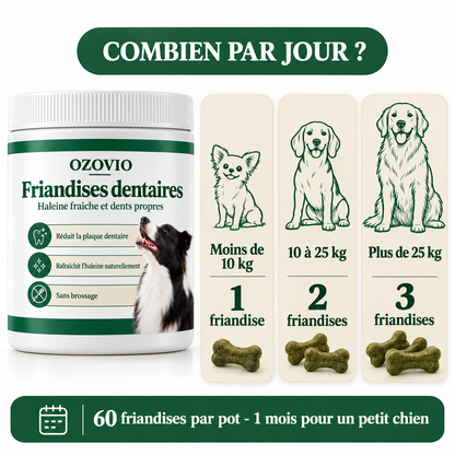 Combien de friandises par jour selon le poids du chien