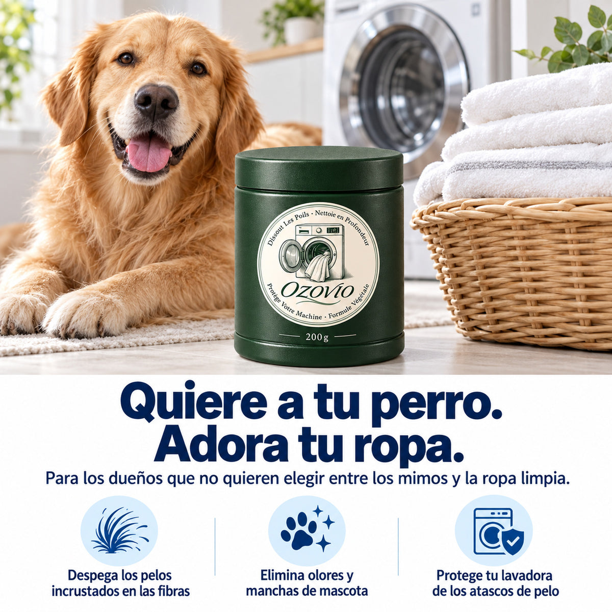 Lieben Sie Ihren Hund, lieben Sie Ihre Kleidung